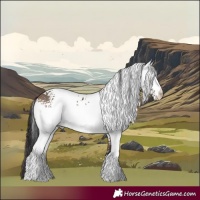 Horse Color:White Spotted Brown Dun 