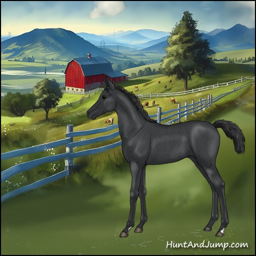 Horse Color:Blue Roan 