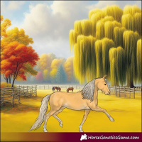 Horse Color:Palomino 