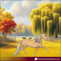 Horse Color:Gold Cream Champagne 
