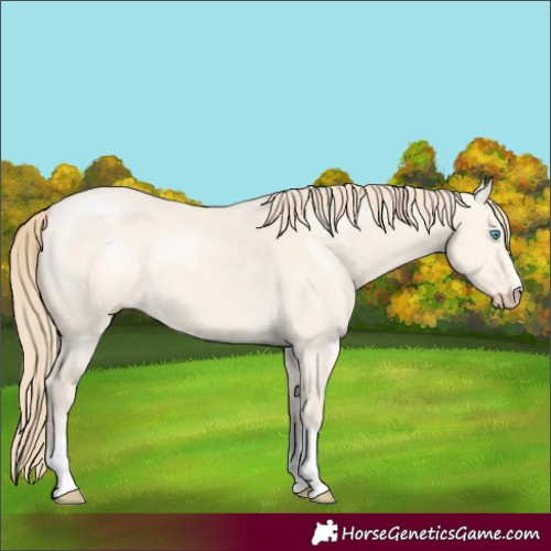 Horse Color:Perlino Dun Sabino 