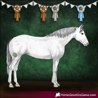 Horse Color:Brown Dun Sabino 