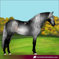 Horse Color:Gray Void Watercolor Silver Bay Splash Tobiano 