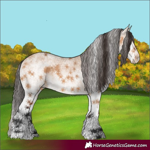 Horse Color:White Spotted Bay Dun 