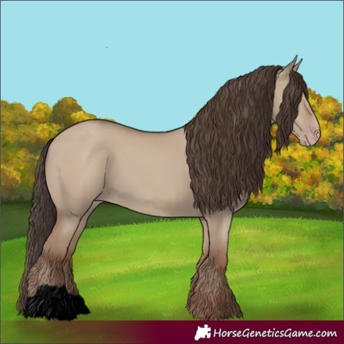 Horse Color:Void Classic Champagne Dun 
