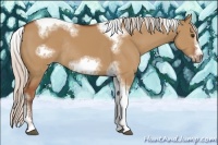 Horse Color:Silver Bay Dun Sabino Tobiano Frame Rabicano 