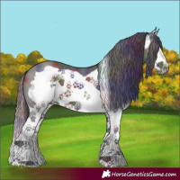 Horse Color:Nacre Smoky Grullo Splash Frame 