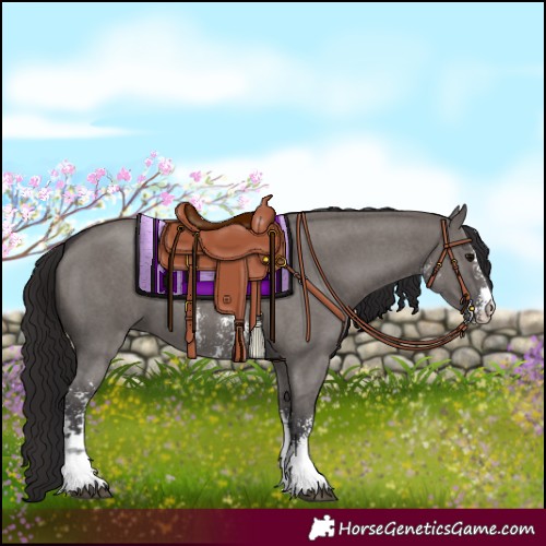Horse Color:Smoky Grullo Sabino