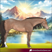 Horse Color:Amber Champagne 