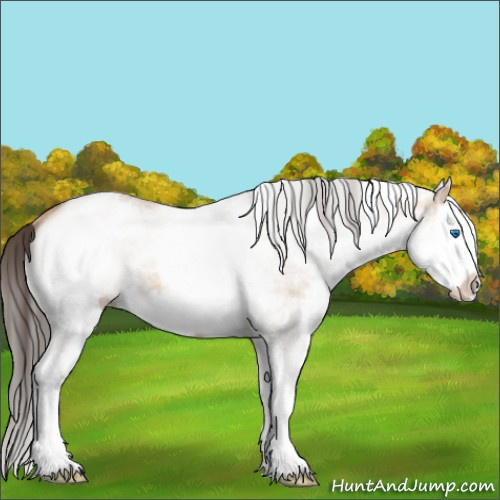 Horse Color:White Spotted Sable Champagne Dun Splash 