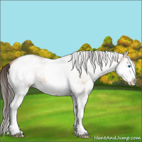 Horse Color:White Spotted Sable Champagne Dun Splash