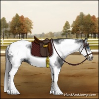 Horse Color:White Spotted Black Splash Tobiano Frame Appaloosa 