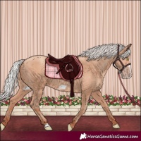 Horse Color:Silver Amber Champagne Frame