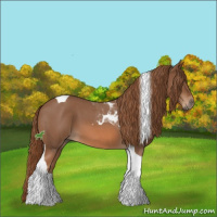 Horse Color:Red Roan Tobiano 