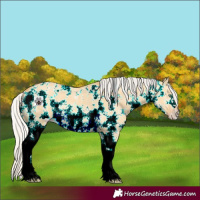 Horse Color:Silver Amber Cream Champagne Dun Sabino 