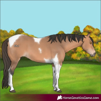 Horse Color:Bay Mushroom Tobiano