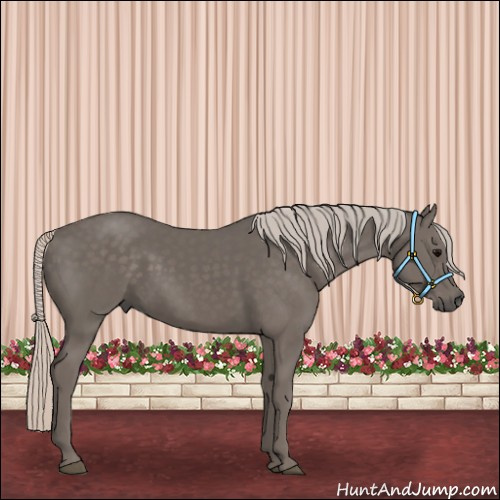 Horse Color:Silver Black 