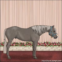 Horse Color:Silver Black 