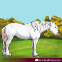 Horse Color:Amber Champagne Sabino Tobiano Varnish  and Amber Champagne Sabino Tobiano Varnish 