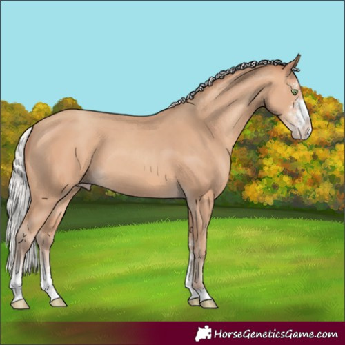 Horse Color:Silver Sable Champagne Sabino 