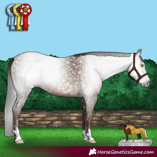 Horse Color:Gray Sable Champagne Rabicano 