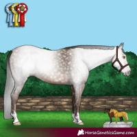 Horse Color:Gray Sable Champagne Rabicano 