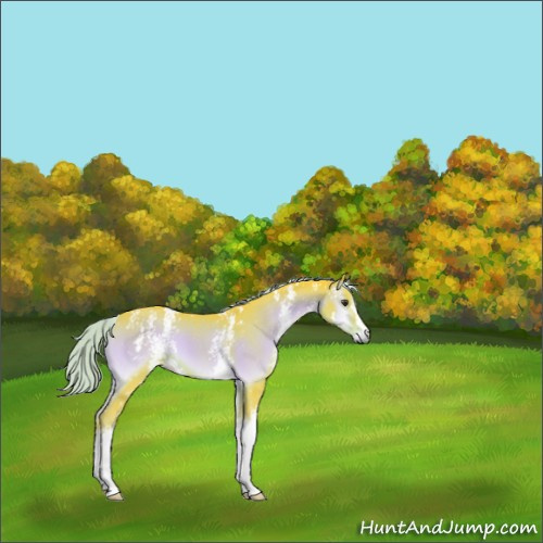 Horse Color:Watercolor White Spotted Liver Red Onyx 