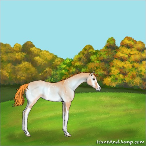 Horse Color:Watercolor White Spotted Liver Red Dun Onyx 