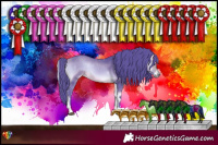 Horse Color:Watercolor Buckskin Onyx