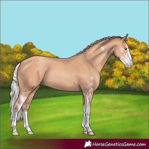 Horse Color:Silver Classic Champagne Sabino