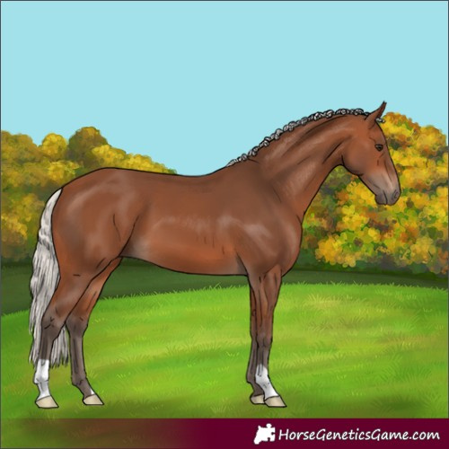 Horse Color:Silver Brown 