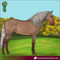 Horse Color:Silver Brown Dun 