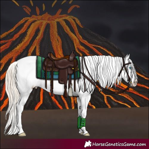 Horse Color:Perlino Roan Near Leopard 
