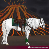 Horse Color:Perlino Roan Near Leopard 