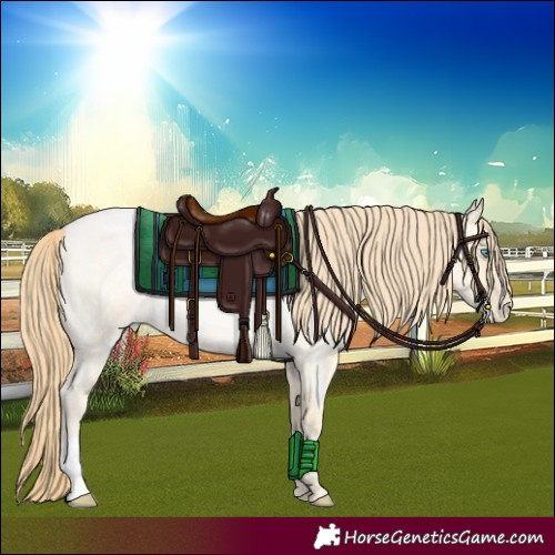 Horse Color:Buckskin Roan Pearl 