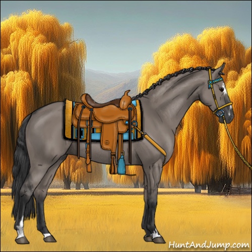 Horse Color:Grullo Sabino Rabicano