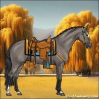 Horse Color:Grullo Sabino Rabicano 