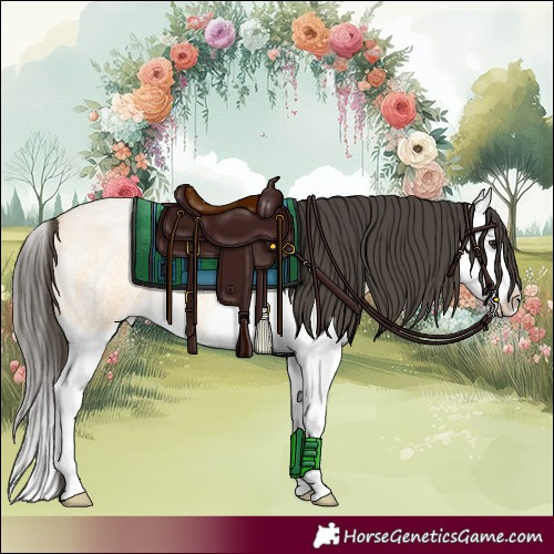 Horse Color:Buckskin Roan Splash 