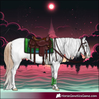 Horse Color:Chestnut Appaloosa 