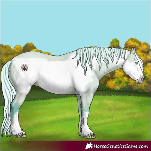 Horse Color:Watercolor Silver Buckskin Dun Frame 