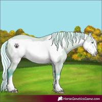 Horse Color:Watercolor Silver Buckskin Dun Frame