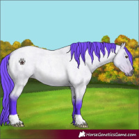 Horse Color:Watercolor Buckskin Roan Dun 