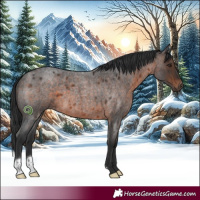 Horse Color:Brown Roan
