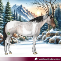 Horse Color:Brown Roan Tobiano 