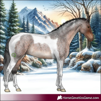 Horse Color:Brown Roan Tobiano 