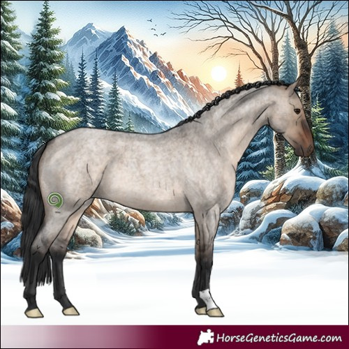 Horse Color:Brown Roan Dun 