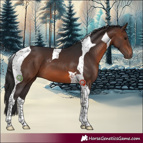 Horse Color:Brown Mushroom Tobiano 