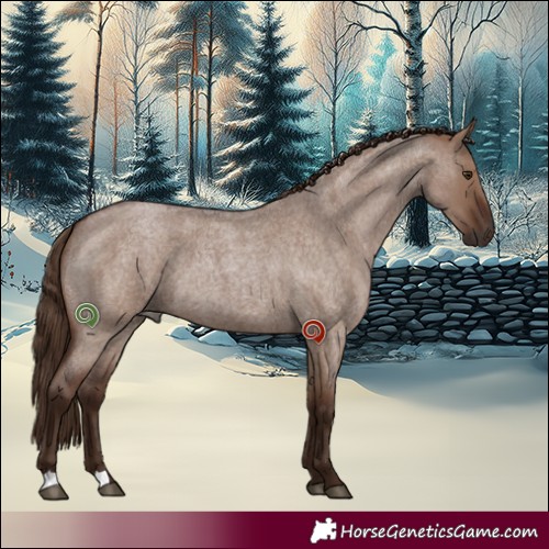 Horse Color:Liver Red Dun Roan 