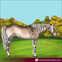 Horse Color:White Spotted Silver Brown Onyx Rabicano 