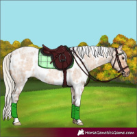 Horse Color:White Spotted Silver Bay Ice Roan Dun 